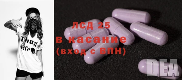 прущие грибы Абаза
