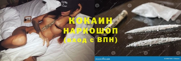 прущие грибы Абаза