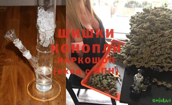 прущие грибы Абаза
