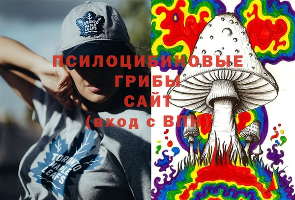 ALPHA PVP Нязепетровск