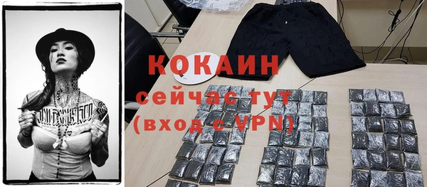 прущие грибы Абаза