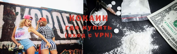 прущие грибы Абаза