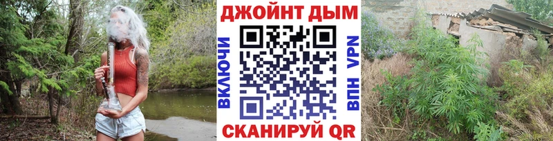 где можно купить наркотик  Мирный  Шишки марихуана план 